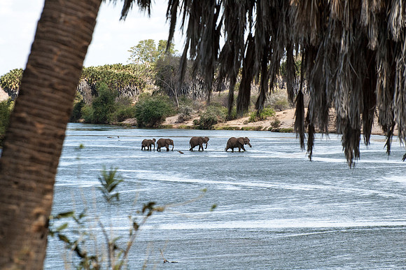 Tsavo crossing