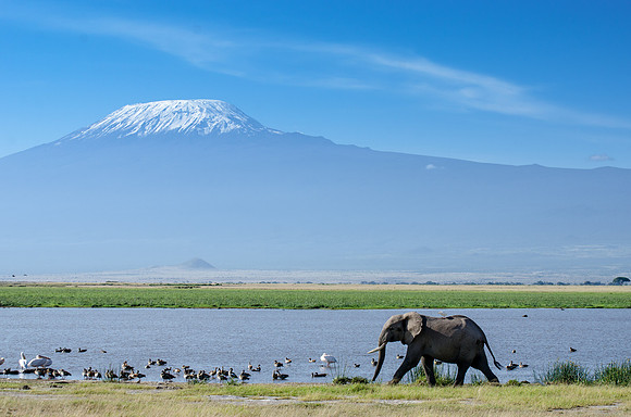 The Ele and the Mountain