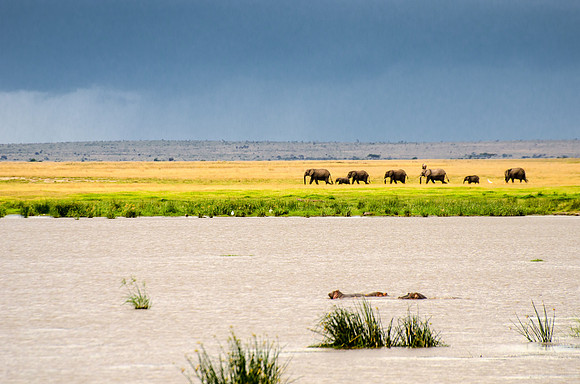Layers of Amboseli
