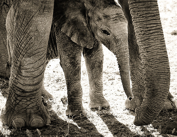 In a mother's shadow