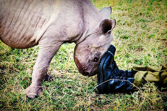 These boots are made for scratching